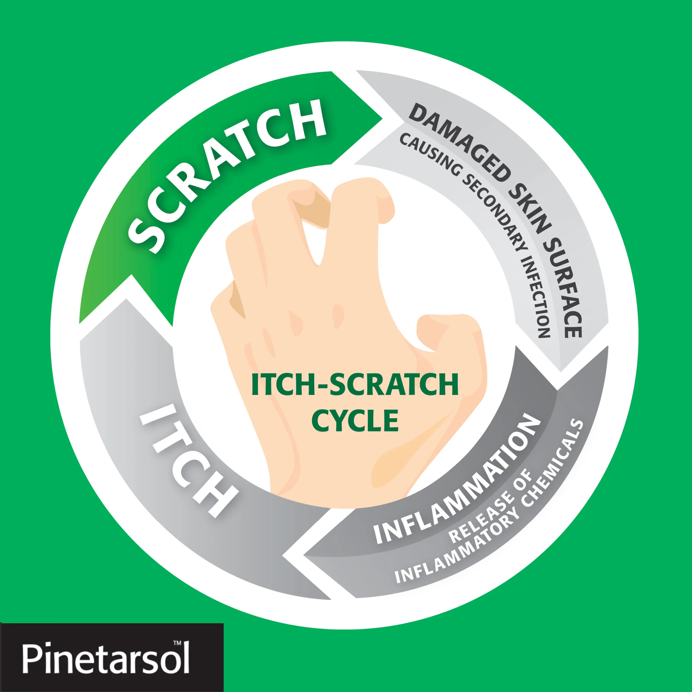 Pinetarsol Solution - Image 6